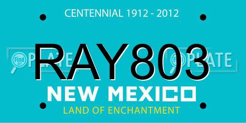 RAY803 New Mexico License Plate