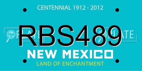 RBS489 New Mexico License Plate