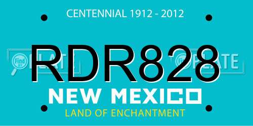 RDR828 New Mexico License Plate