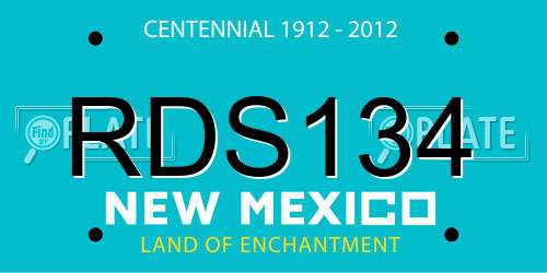RDS134 New Mexico License Plate