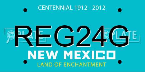 REG24G New Mexico License Plate