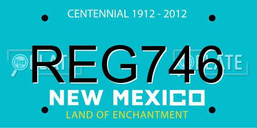 REG746 New Mexico License Plate