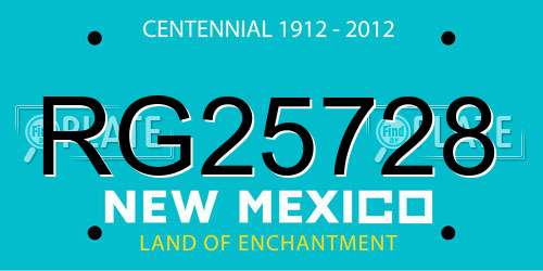 RG25728 New Mexico License Plate