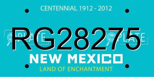 RG28275 New Mexico License Plate