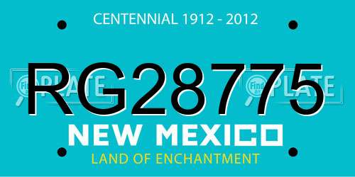 RG28775 New Mexico License Plate