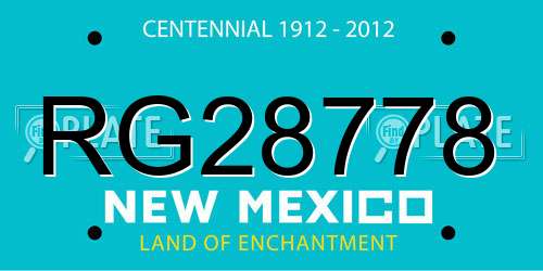 RG28778 New Mexico License Plate