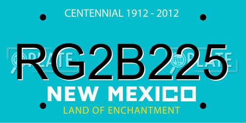 RG2B225 New Mexico License Plate