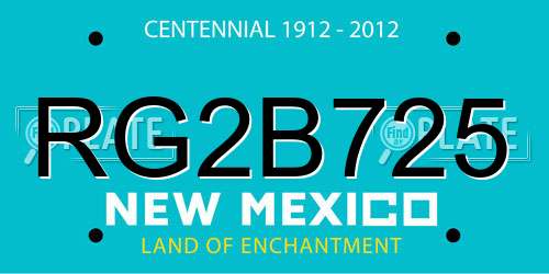 RG2B725 New Mexico License Plate