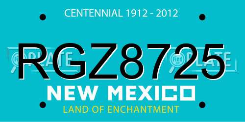 RGZ8725 New Mexico License Plate