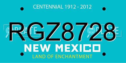 RGZ8728 New Mexico License Plate