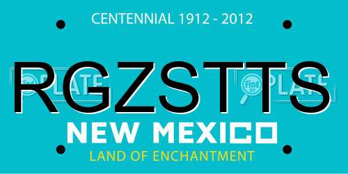 RGZSTTS New Mexico License Plate