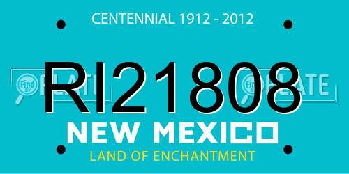 RI21808 New Mexico License Plate