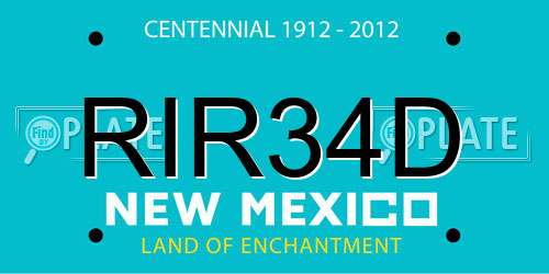 RIR34D New Mexico License Plate