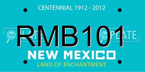 RMB101 New Mexico License Plate