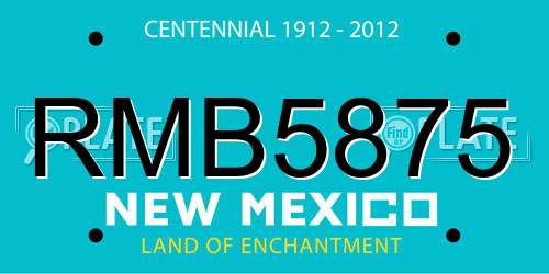 RMB5875 New Mexico License Plate