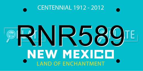 RNR589 New Mexico License Plate