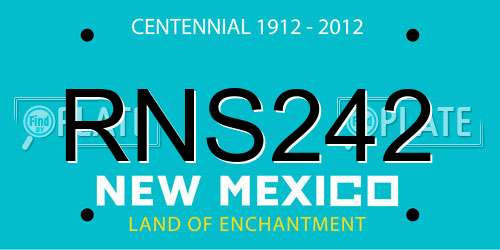 RNS242 New Mexico License Plate