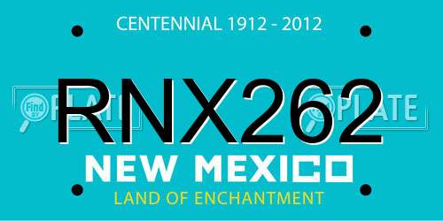 RNX262 New Mexico License Plate