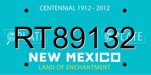 RT89132 New Mexico License Plate