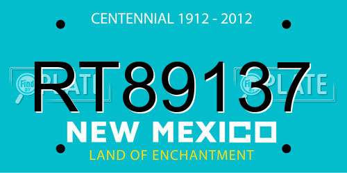 RT89137 New Mexico License Plate