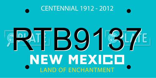 RTB9137 New Mexico License Plate