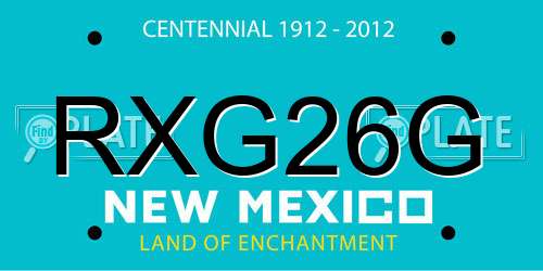 RXG26G New Mexico License Plate