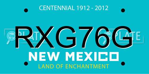 RXG76G New Mexico License Plate