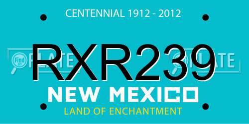 RXR239 New Mexico License Plate