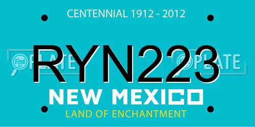 RYN223 New Mexico License Plate