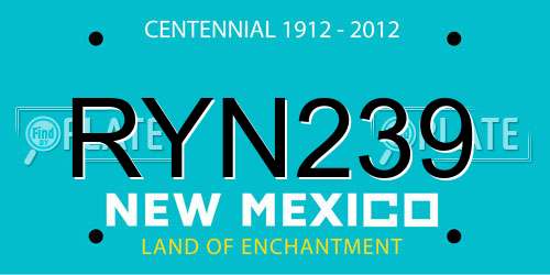 RYN239 New Mexico License Plate