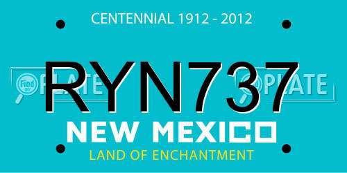 RYN737 New Mexico License Plate