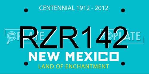 RZR142 New Mexico License Plate