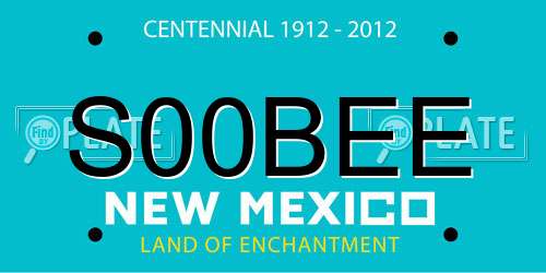 S00BEE New Mexico License Plate