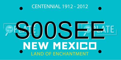 S00SEE New Mexico License Plate