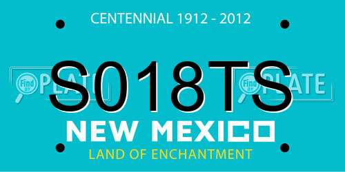 S018TS New Mexico License Plate