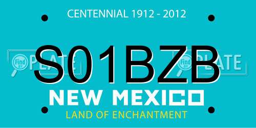 S01BZB New Mexico License Plate