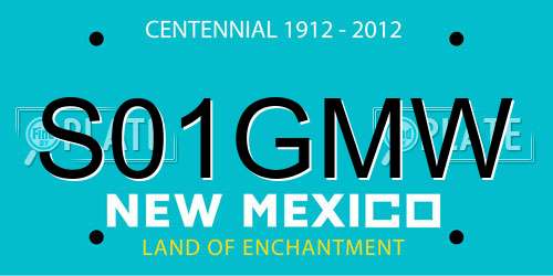 S01GMW New Mexico License Plate