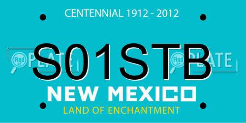 S01STB New Mexico License Plate