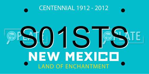 S01STS New Mexico License Plate
