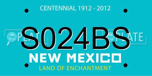 S024BS New Mexico License Plate