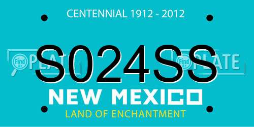 S024SS New Mexico License Plate
