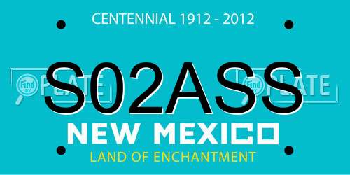 S02ASS New Mexico License Plate