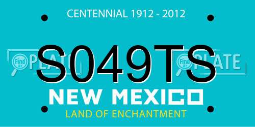 S049TS New Mexico License Plate