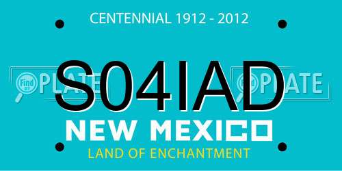 S04IAD New Mexico License Plate