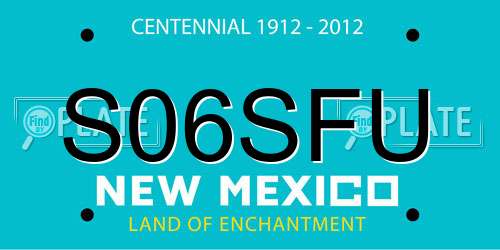 S06SFU New Mexico License Plate