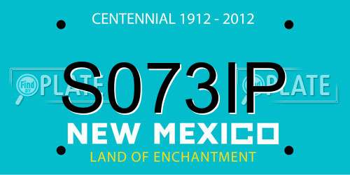 S073IP New Mexico License Plate