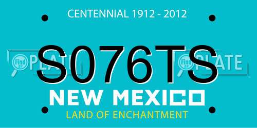 S076TS New Mexico License Plate