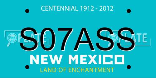 S07ASS New Mexico License Plate