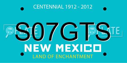 S07GTS New Mexico License Plate
