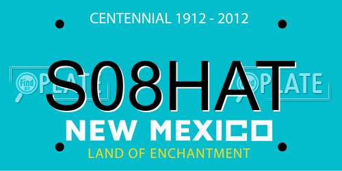 S08HAT New Mexico License Plate